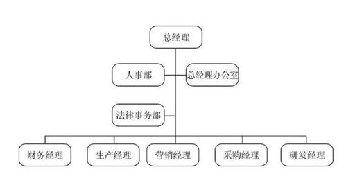 组织设计与工作分析